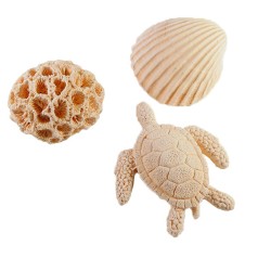 Lot de grands plâtres Vanille : tortue, corail, coquillage. Les Savonneries du Soleil