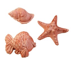 Lot de mini plâtres Rose Antique : coquillage, étoile de mer, poisson. Les Savonneries du Soleil