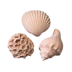 Lot de plâtre parfumé –...